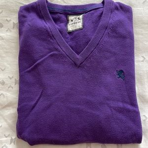 Express Men’s V-Neck Sweater